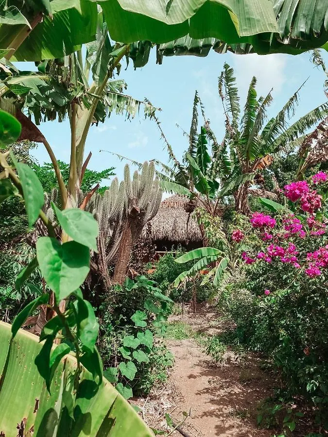 Mondi Lodge Dorp Sint Michiel 0*,  Curacao