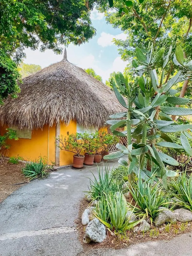 Mondi Lodge Dorp Dorp Sint Michiel Curaçao