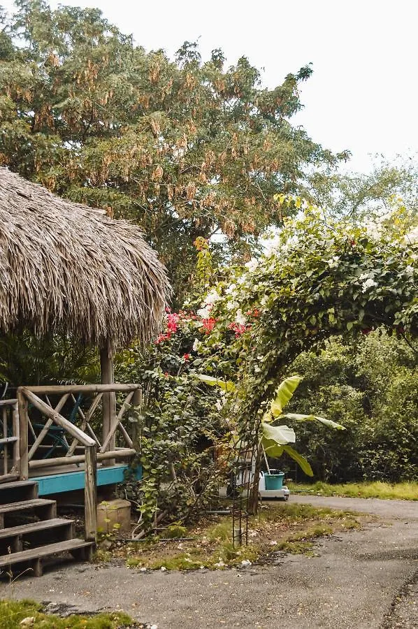 Mondi Lodge Dorp Dorp Sint Michiel