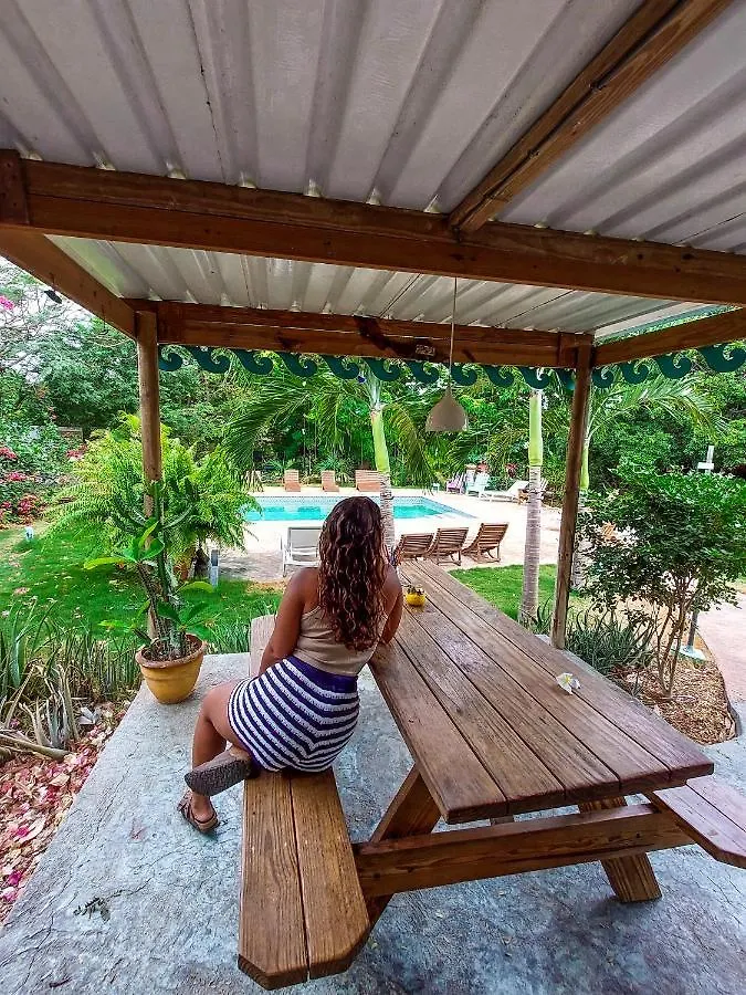 Mondi Lodge Dorp Dorp Sint Michiel