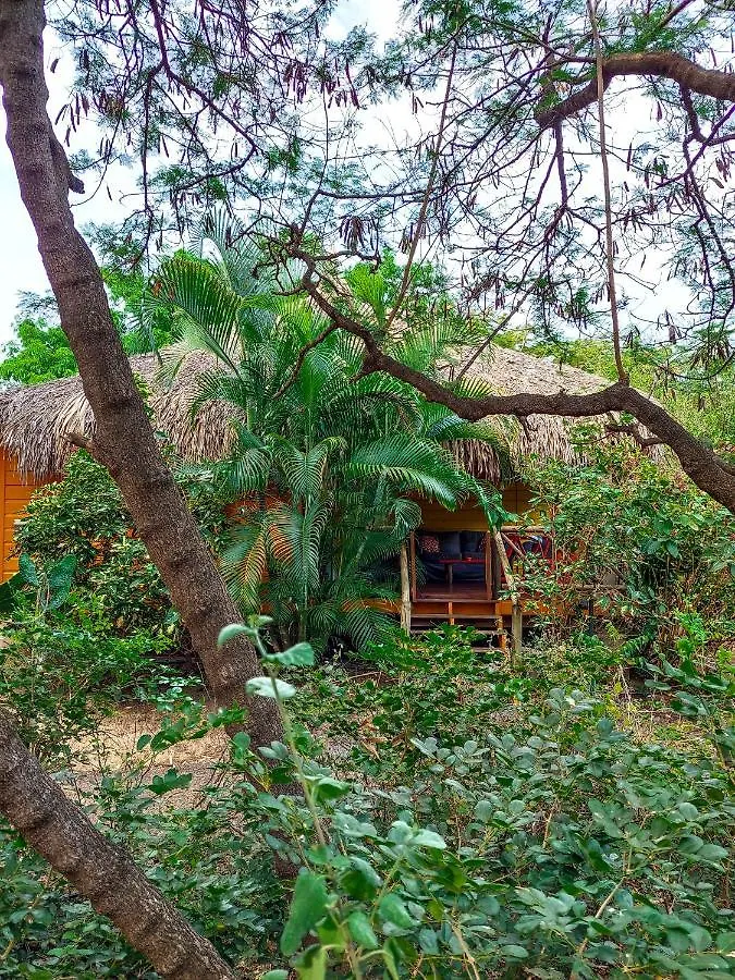 Mondi Lodge Dorp Sint Michiel