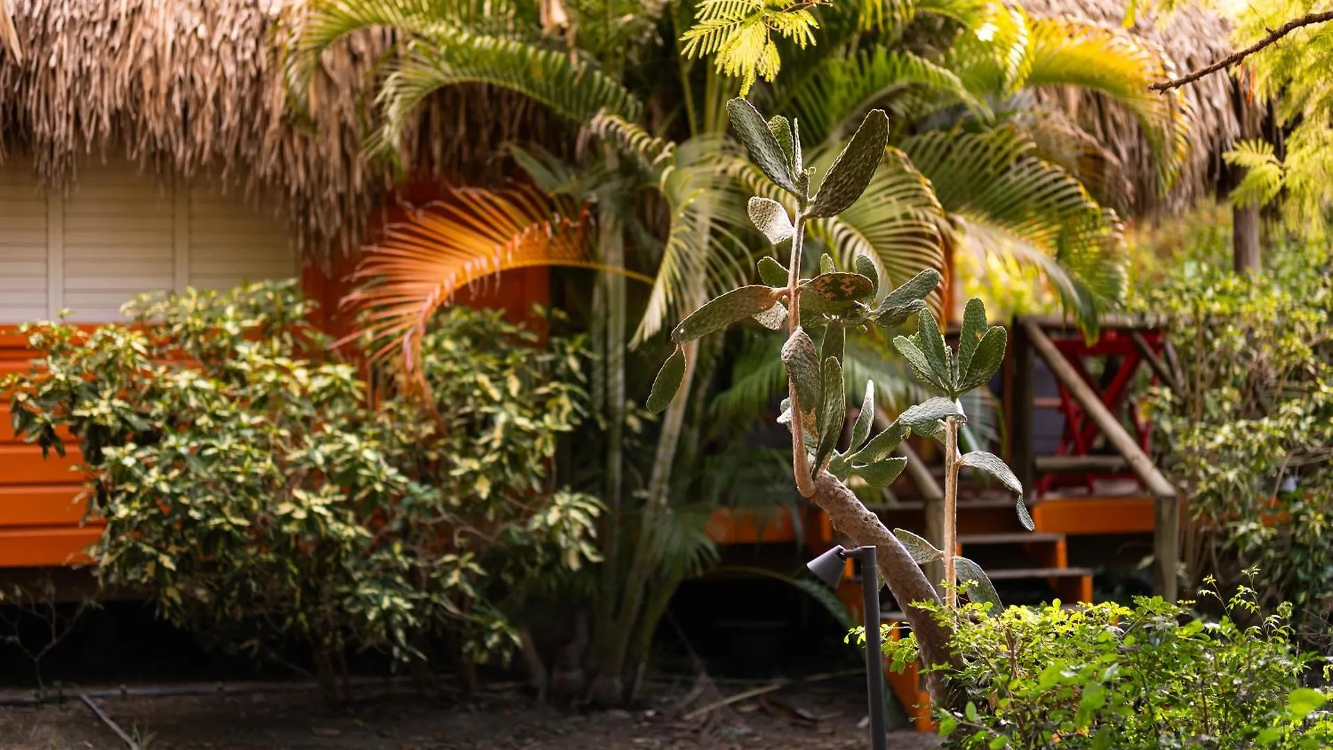 Mondi Lodge Dorp Sint Michiel Curacao